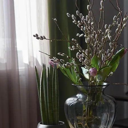 The Embassy 소피아