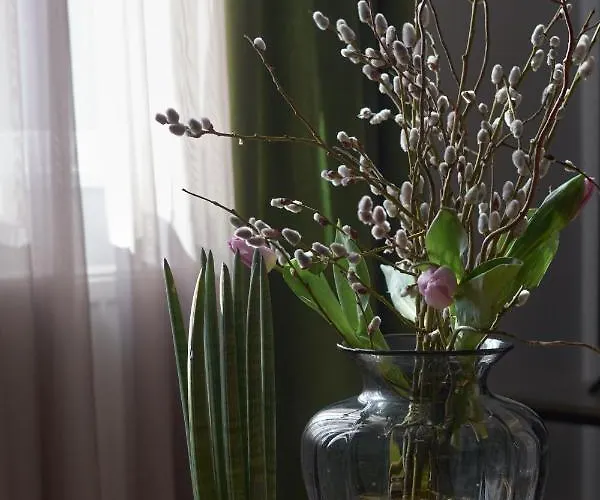 The Embassy صوفيا